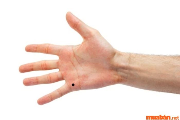 Tuy nhiên, nếu nốt ruồi màu son xuất hiện tại gò Thủy Tinh, điều này báo hiệu một mối tình bất ngờ, tốt đẹp và đầy may mắn, mang lại hạnh phúc cho chủ nhân.