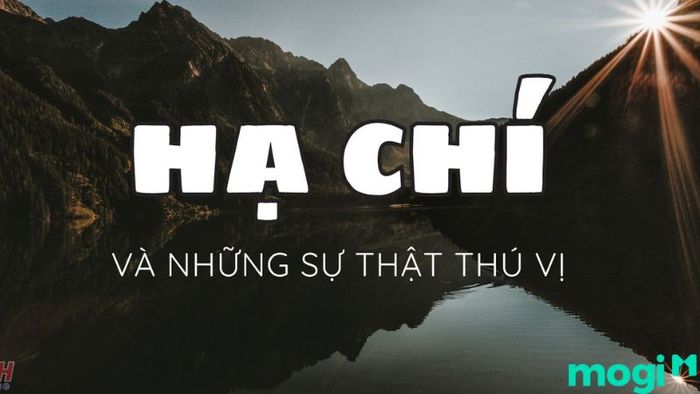 ngày Hạ Chí