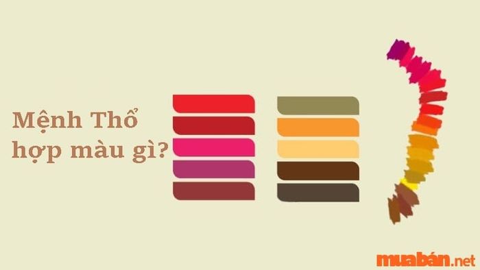 Khám phá mệnh Thổ hợp màu gì để thu hút tài lộc và may mắn.