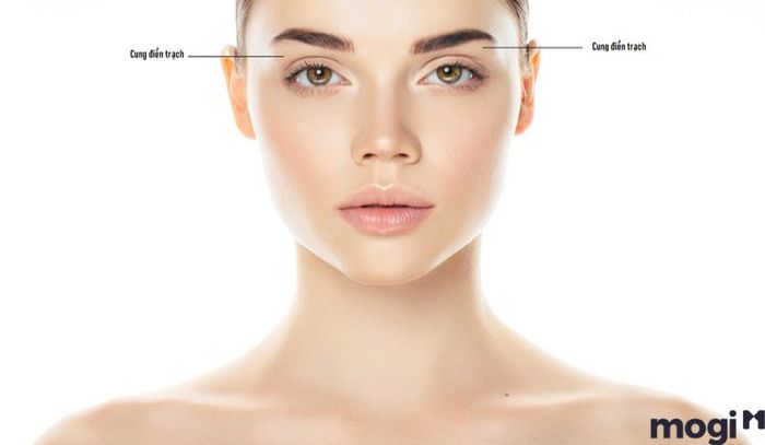 Giải Thần tại cung Điền Trạch mang lại một điềm báo không mấy tốt đẹp về tài sản, nhưng cũng có những dấu hiệu tích cực trong việc ổn định cuộc sống gia đình.
