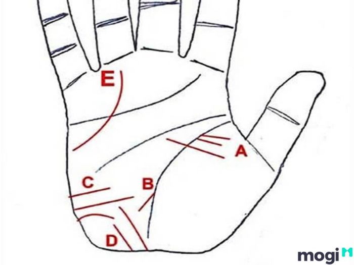đường chỉ tay xuất ngoại