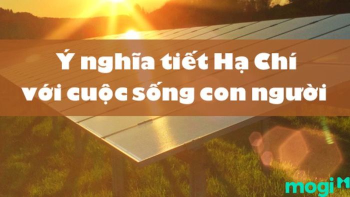 ngày Hạ Chí