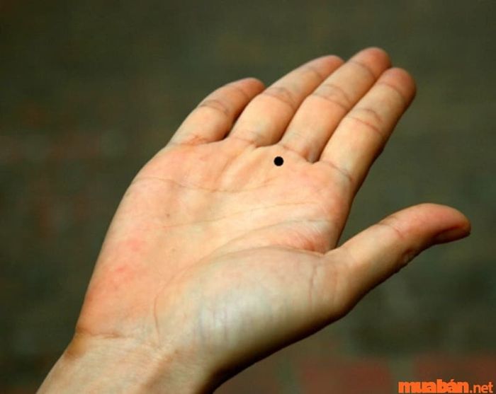 Nốt ruồi tại gò Thổ Tinh