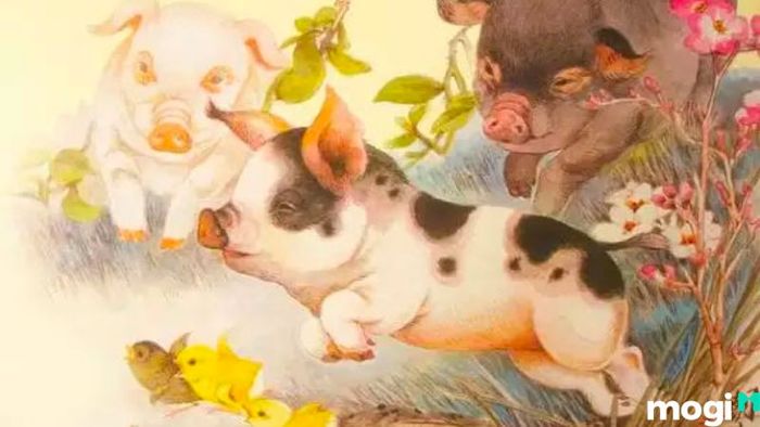 Hướng nhà hợp với tuổi Đinh Hợi 1947