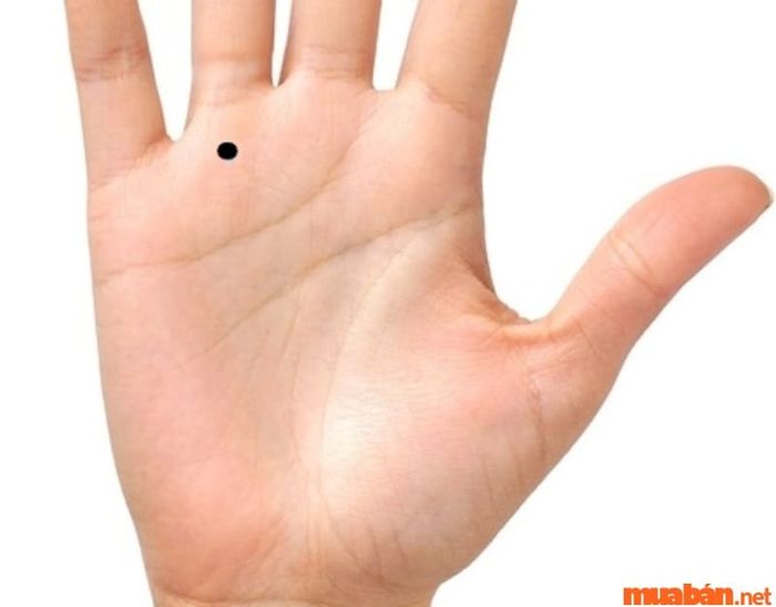 Nốt ruồi tại gò Thái Dương