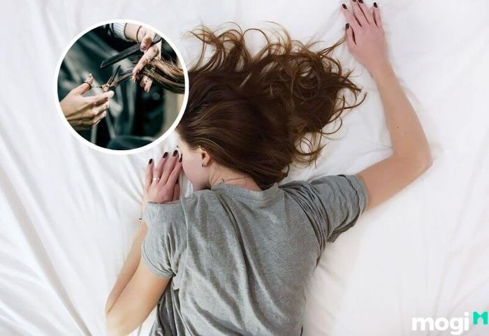 Mỗi giấc mơ về cắt tóc đều gắn liền với những con số may mắn riêng biệt.