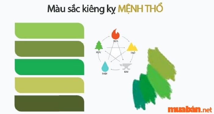 Hãy biết mệnh Thổ kỵ với màu gì để tránh gặp phải những điều không may và rủi ro trong cuộc sống.