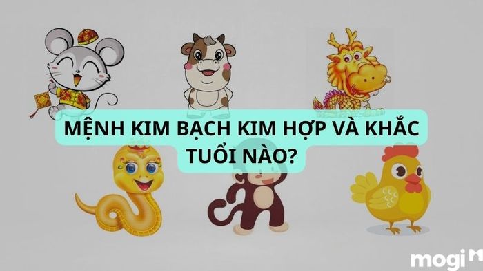 Mệnh Kim Bạch Kim hợp và khắc tuổi nào?