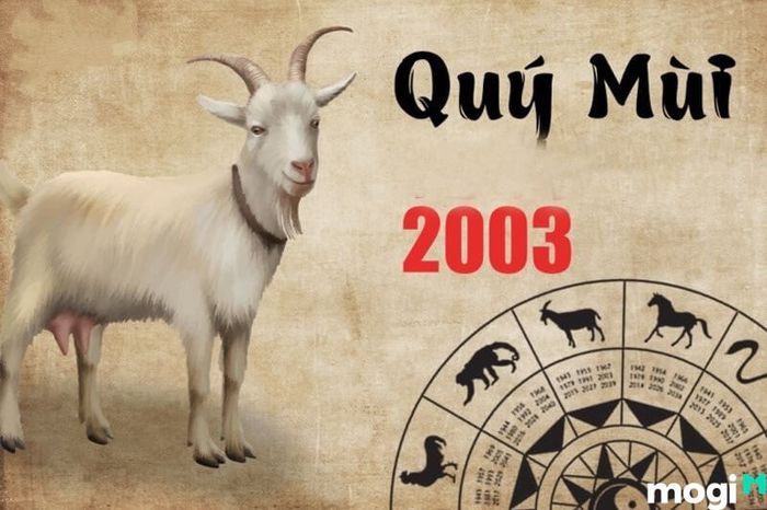 Hướng nhà phù hợp với tuổi Quý Mùi 2003