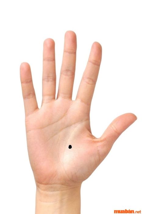 Nốt ruồi tại gò Kim tinh