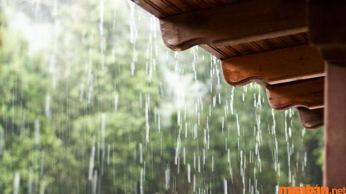 Tiết Cốc Vũ là một trong những tiết khí quan trọng trong lịch truyền thống của các quốc gia châu Á.