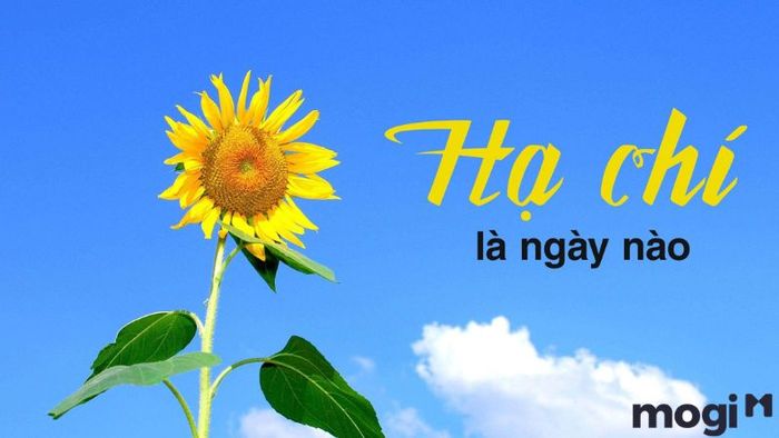 ngày hạ chí