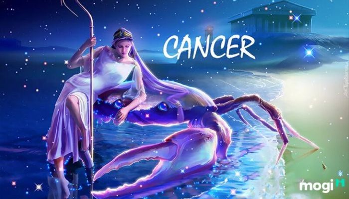 cung hoàng đạo nào sở hữu nhiều thiên tài nhất
