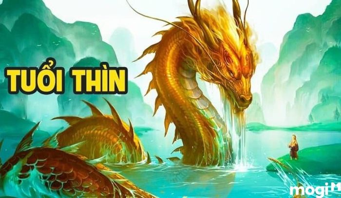 Những Năm Sinh Của Người Tuổi Thìn