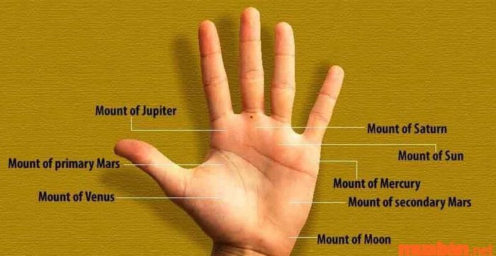 Nốt ruồi trên bàn tay của phụ nữ