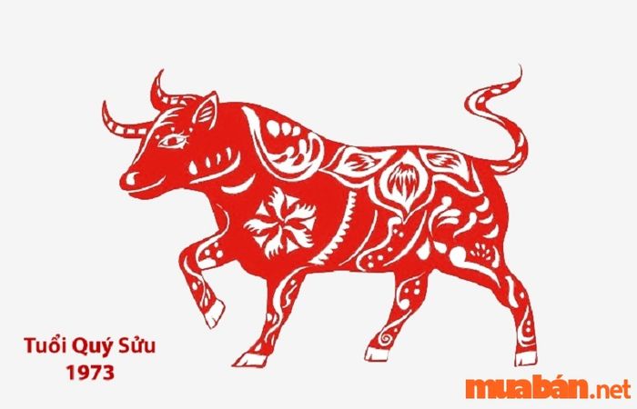 Tử vi Quý Sửu 1973 nam mạng năm 2024: Vận mệnh tốt hay xấu?