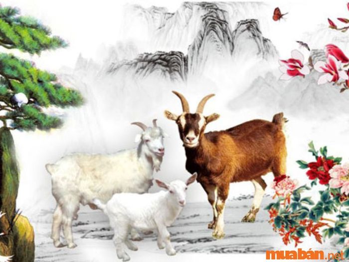 Tử vi tuổi Mùi 2024 chi tiết theo từng tháng âm lịch