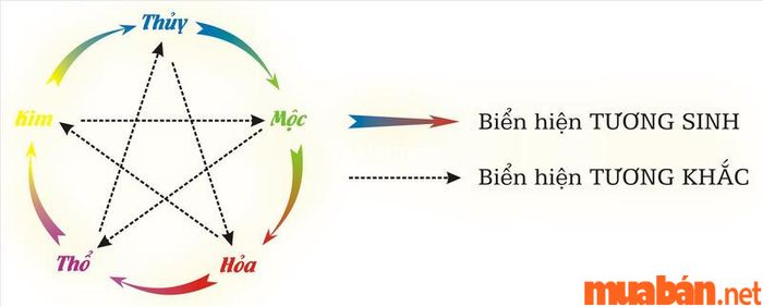 Tử vi nữ Quý Sửu 1973 năm 2024 xét theo ngũ hành