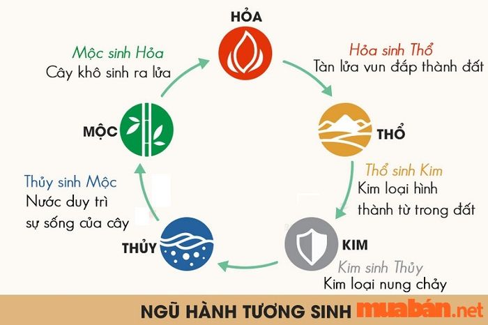 Phân tích tử vi Quý Sửu 1973 nam mạng năm 2024 theo ngũ hành