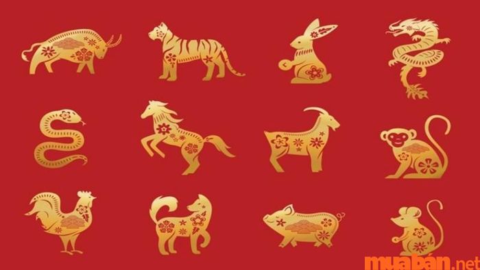 Tử vi chi tiết tháng 8 năm 2024 của 12 con giáp