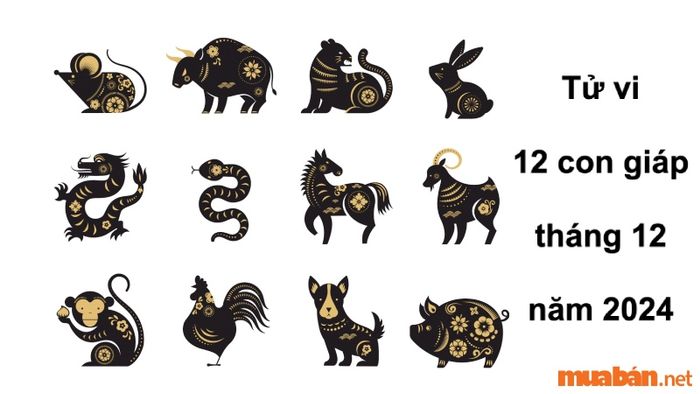 Tử vi tháng 12 năm 2024 của 12 con giáp