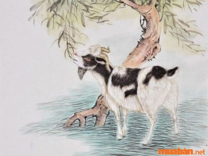 Phân tích tử vi tuổi Mùi năm 2024