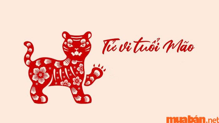 Tử vi tuổi Mão tháng 8 năm 2024
