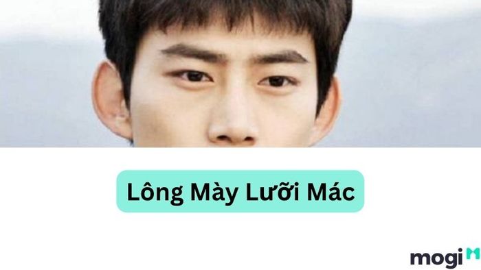 Tướng lông mày lưỡi mác
