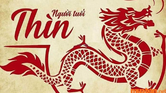 Vận niên tuổi Canh Thìn 2000 nam mạng năm 2024