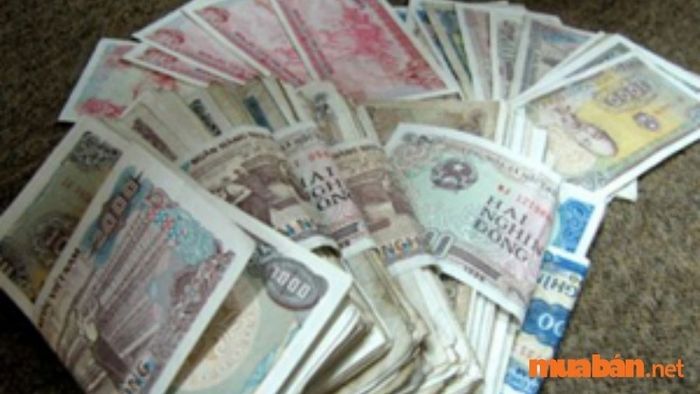Rất nhiều tiền lẻ trong giấc mơ