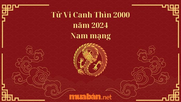 Tử Vi Canh Thìn 2000 năm 2024 Nam mạng