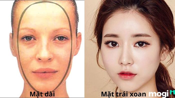 So sánh giữa mặt trái xoan và mặt dài