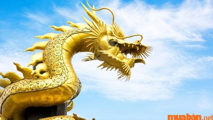 Hạn tuổi Canh Thìn 2000 nam mạng năm 2024