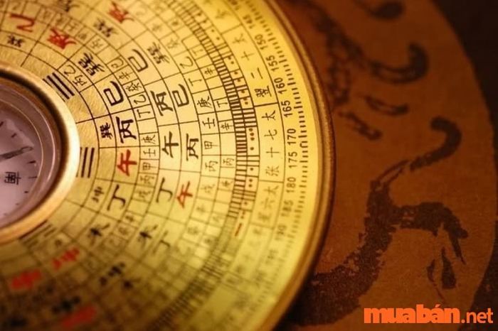 Phân tích tử vi Quý Sửu 1973 nam mạng năm 2024 theo cung phi