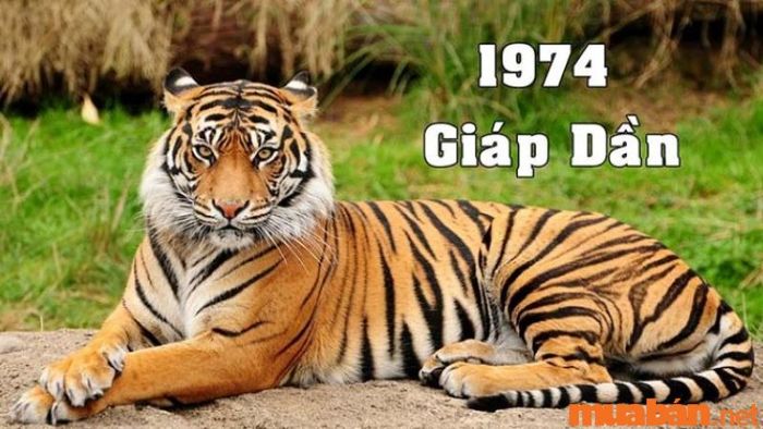 Thông tin về tuổi Giáp Dần 1974