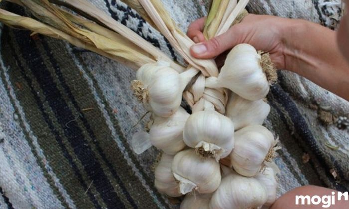 Cách đốt vía cho trẻ sơ sinh bằng tỏi