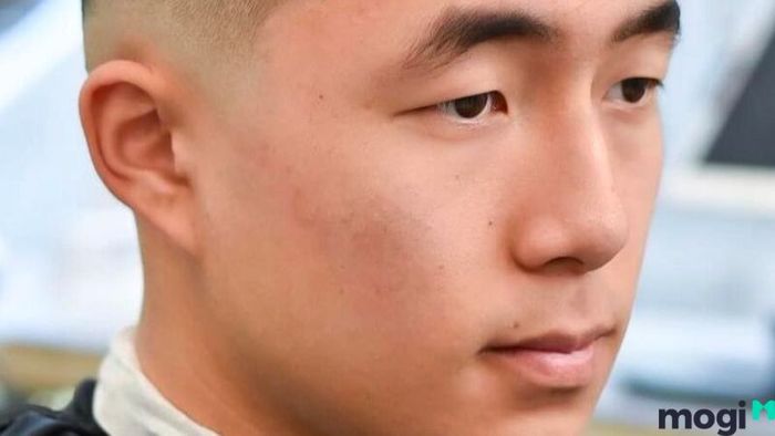Lông mày sư tử