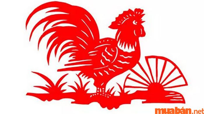 Tử vi tuổi Dậu tháng 8 năm 2024