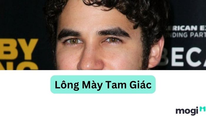 Tướng lông mày tam giác