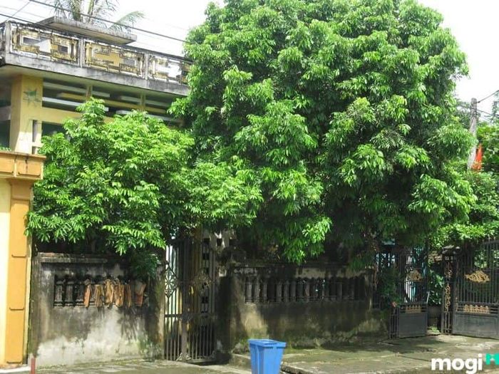 Phong thủy trước cửa nhà