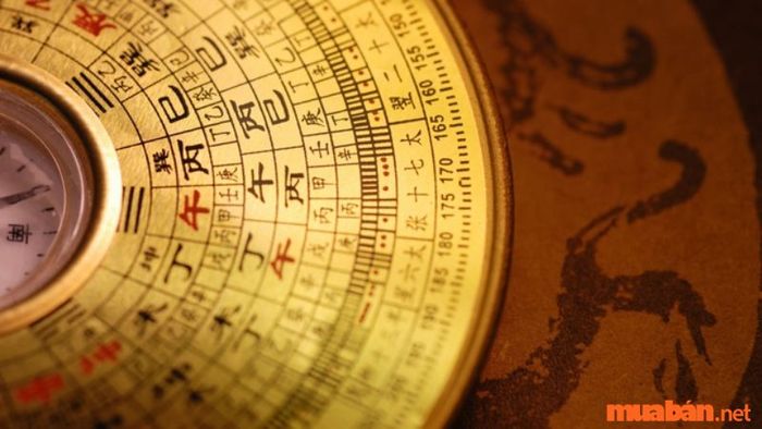 Khám phá tử vi chi tiết cho người cung Chấn