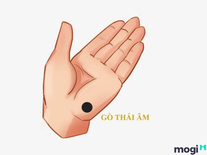 Gò Thái Âm