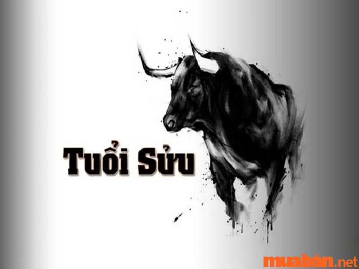 Tử vi Quý Sửu 1973
