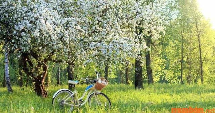 Vào ngày Lập xuân, việc chọn giờ xuất hành phù hợp sẽ giúp mang lại may mắn và tài lộc cho gia chủ.