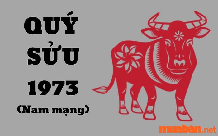 Tổng quan chi tiết tử vi Quý Sửu 1973 nam mạng năm 2024 từ A-Z