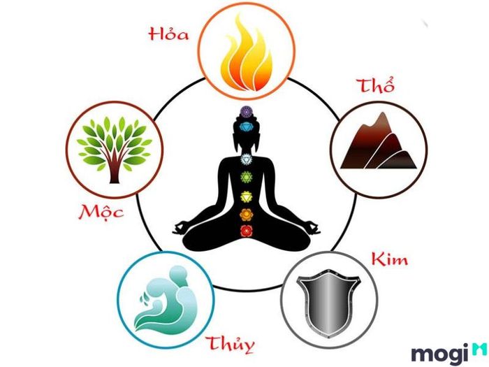 Y học cổ truyền vận dụng lý thuyết ngũ hành để duy trì sự cân bằng trong cơ thể, giúp sức khỏe con người luôn ổn định và phát triển.