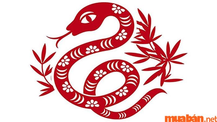 Tử vi tuổi Tỵ tháng 8 năm 2024