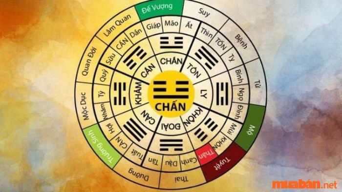 Đặc điểm tính cách của người cung Chấn