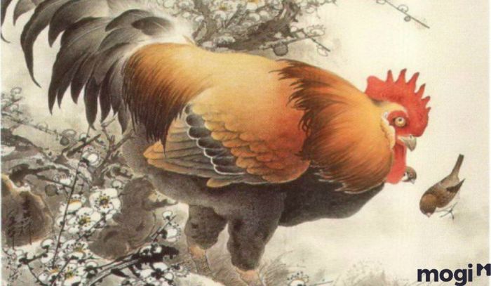 Nam giới Kỷ Dậu luôn rất có trách nhiệm trong công việc và cuộc sống.