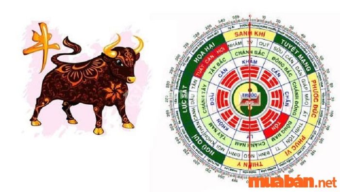 Tử vi Quý Sửu 1973 nam mạng năm 2024 chỉ ra những hướng xuất hành tốt nhất giúp bạn đạt được may mắn và thành công.